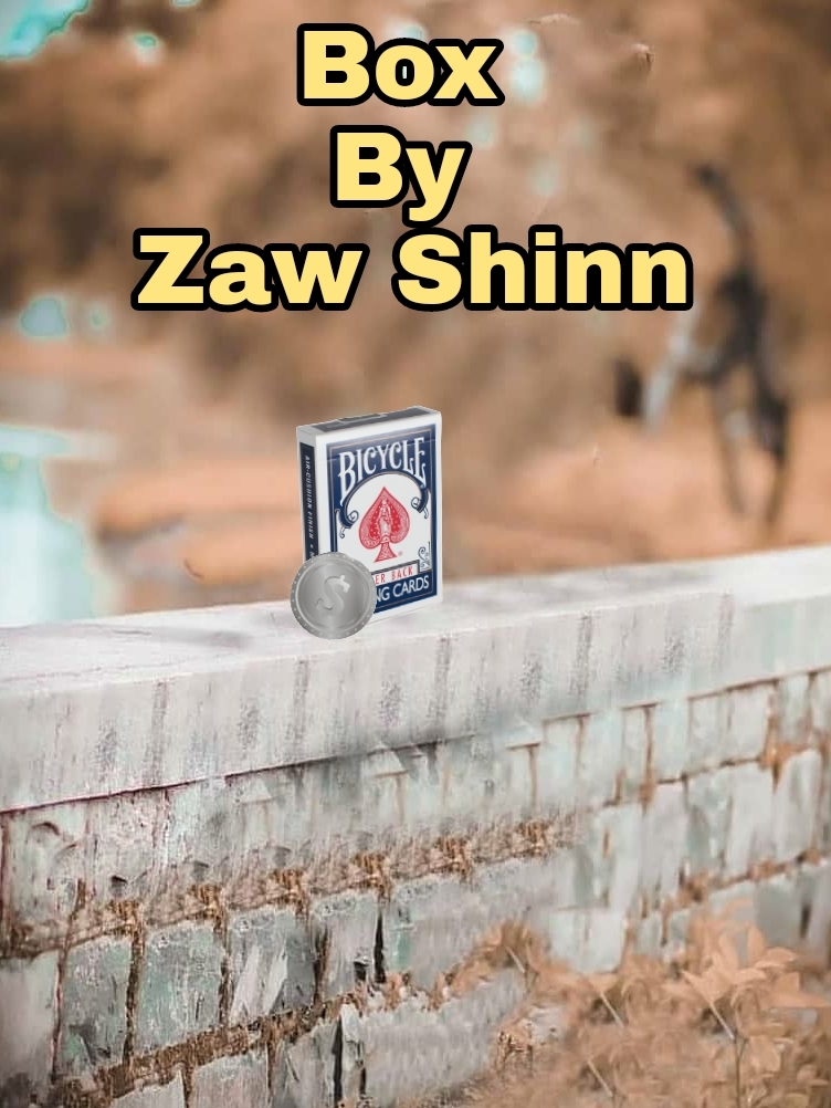 Zaw Shinn - Box