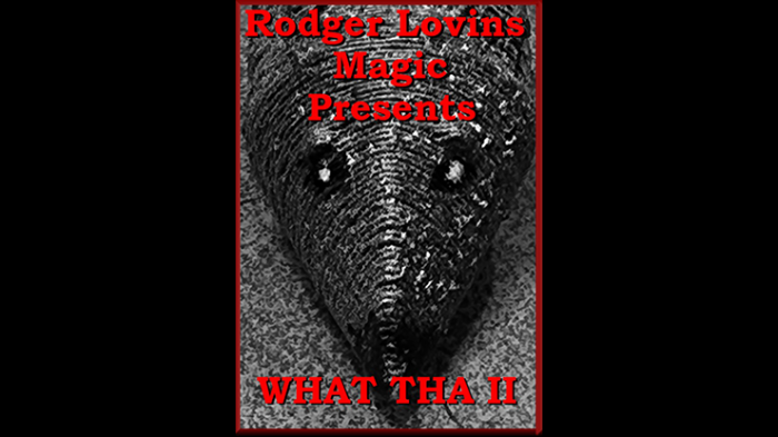 Rodger Lovins - What Tha II